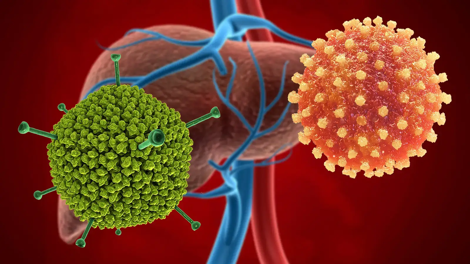 Kronik Viral Hepatitler ve Çeşitleri Nelerdir?