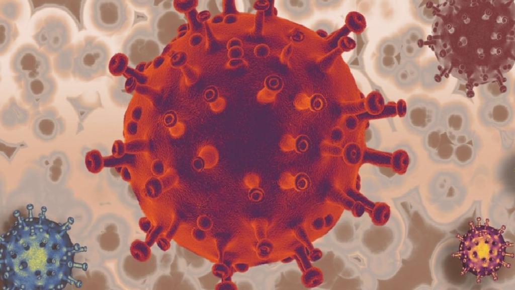 H1N1 Virüsü Nedir? Nasıl Bulaşır?