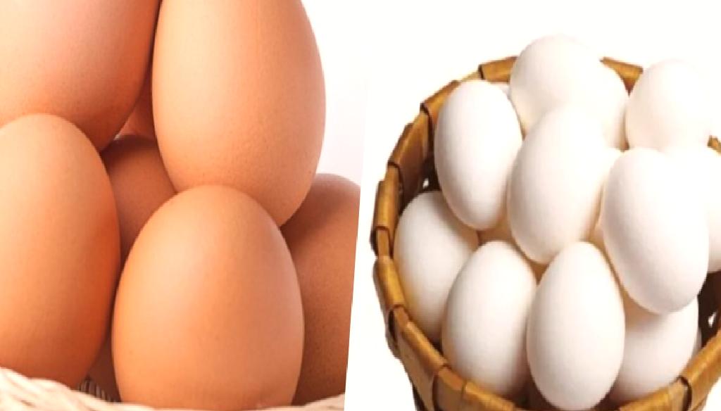 Kahverengi Yumurta ve Beyaz Yumurta Hangisi Daha Sağlıklı?