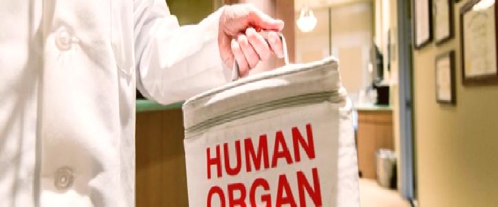 “Organ naklinde öncelik kadavradan organ temin etmek olmalı”