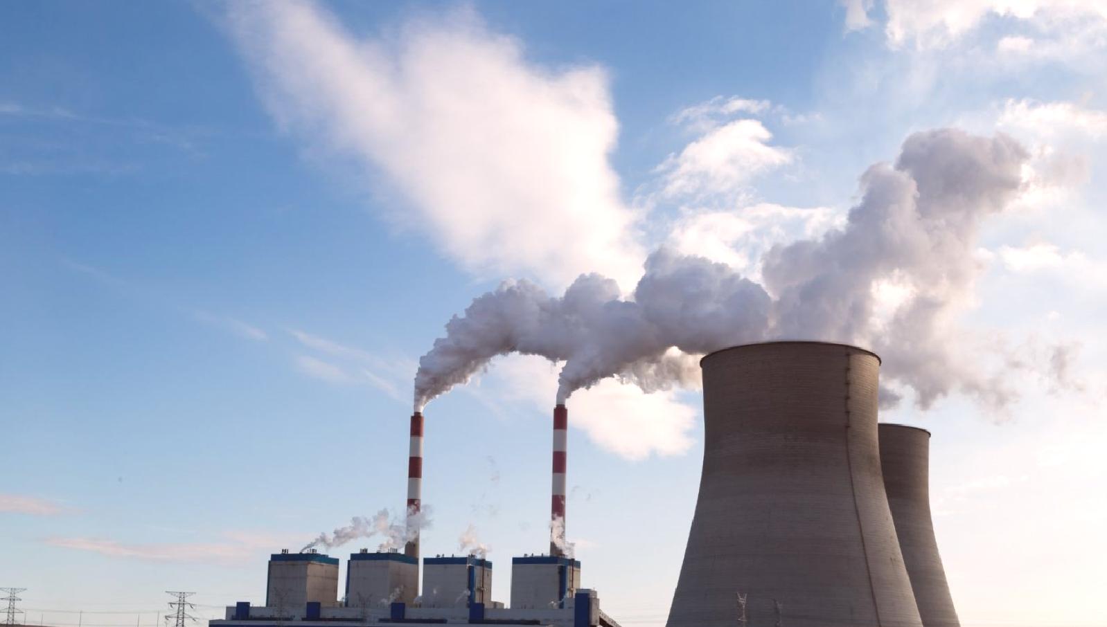“Termik santrallere verilen havamızı kirletme müsaadesi kabul edilemez” (Termik santraller hayatı tehdit ediyor!)