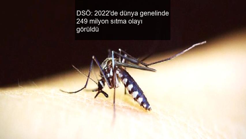 DSÖ: 2022’de dünya genelinde 249 milyon sıtma olayı görüldü