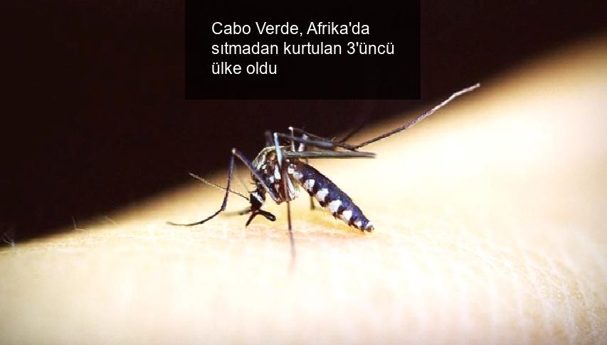 Cabo Verde, Afrika’da sıtmadan kurtulan 3’üncü ülke oldu